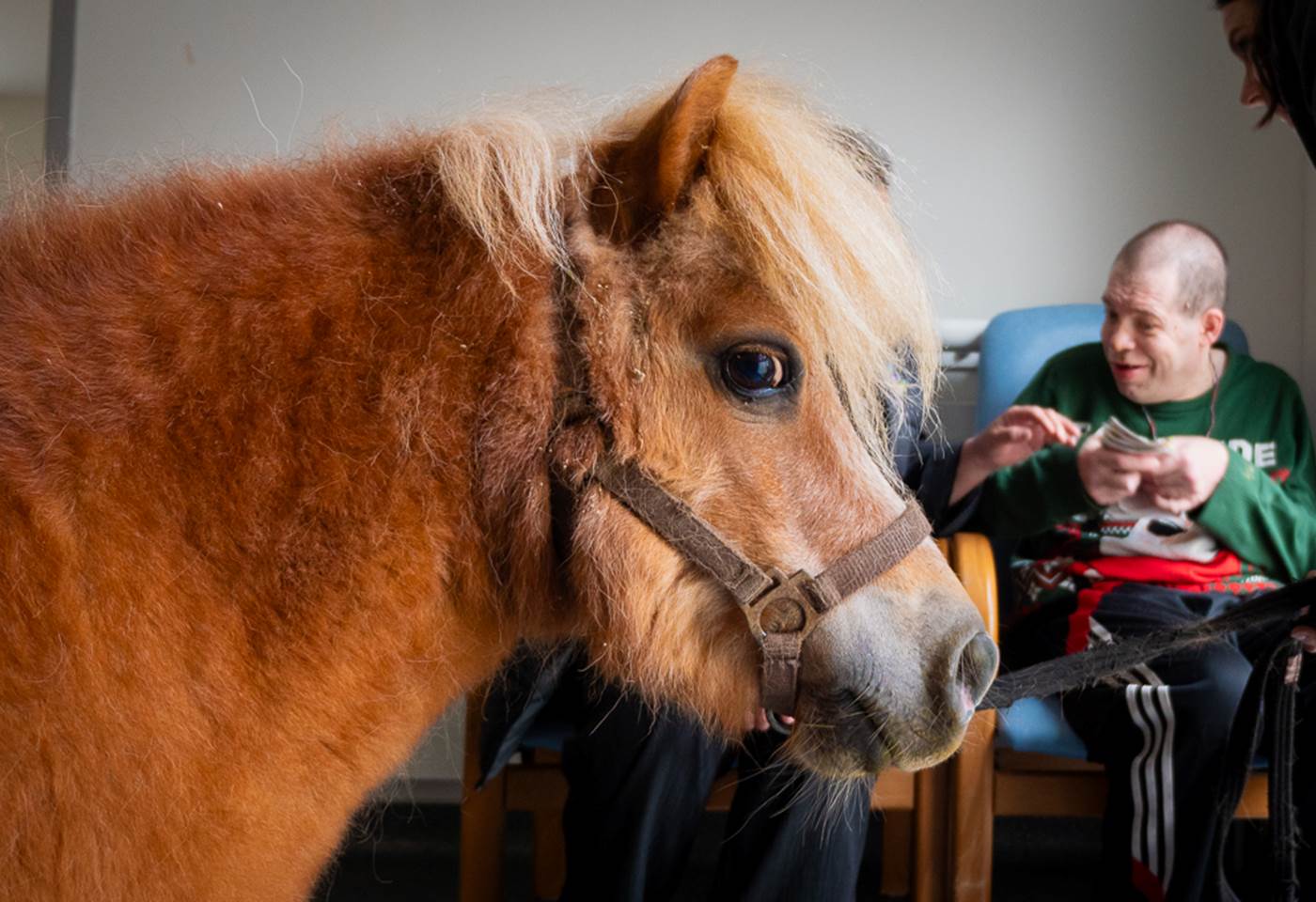 493926764_1309681967632319_898519112089761437_n