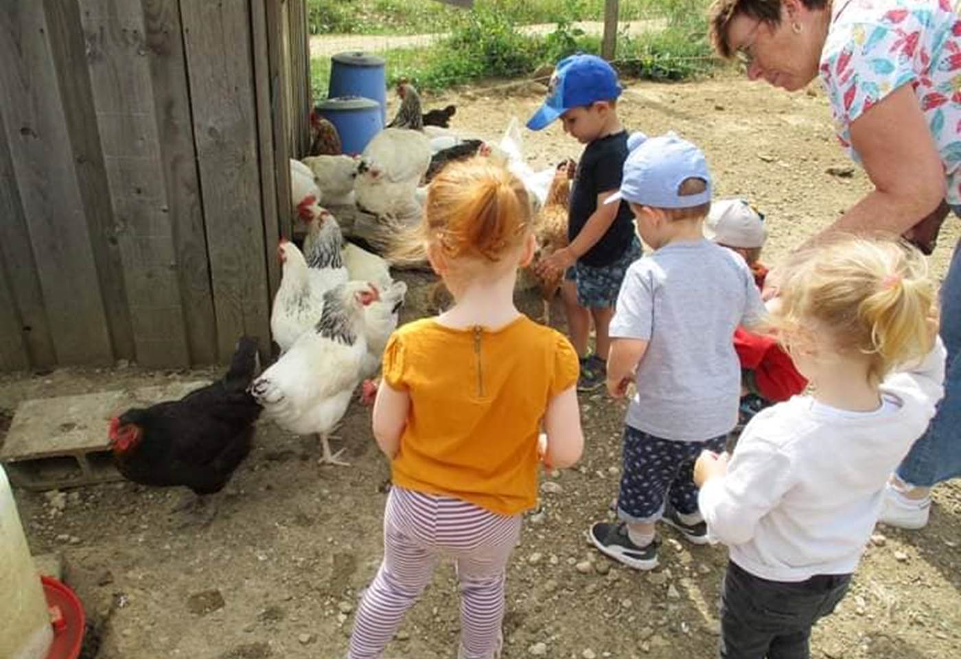 346089077_617112787138375_8569350384138525653_n