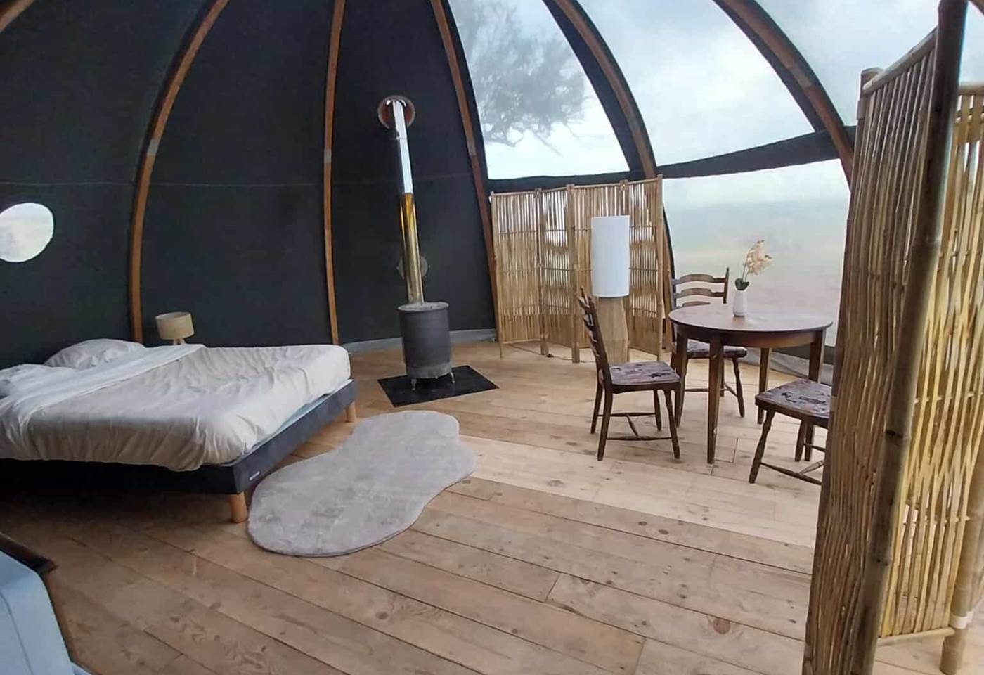 541629508_1450501026516795_2571775347669102076_n