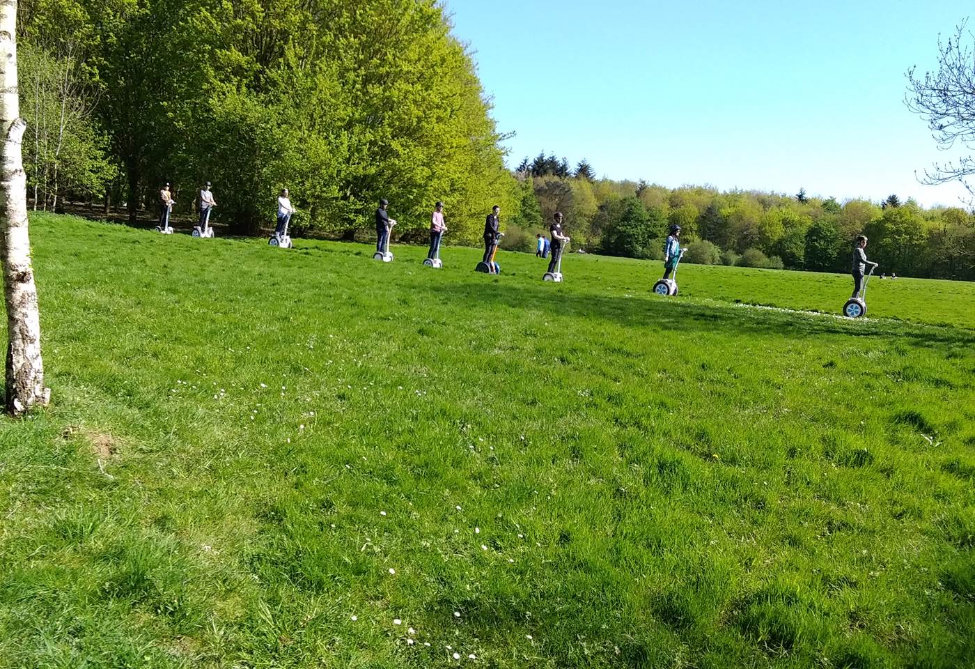 Parc des Gayeulles avril 2018
