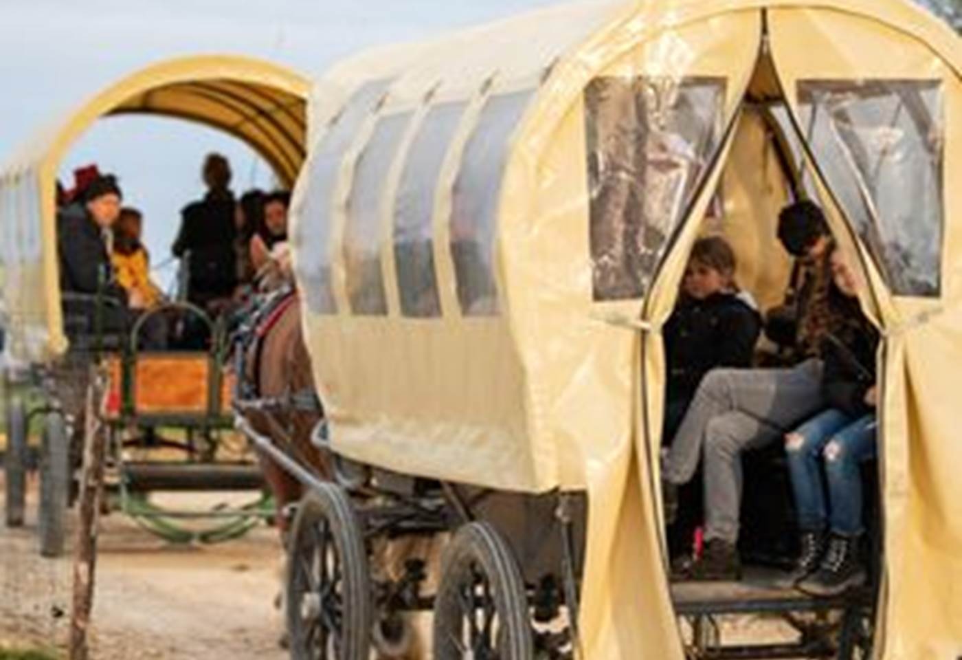 345617337_765850778429344_8023876877215601578_n