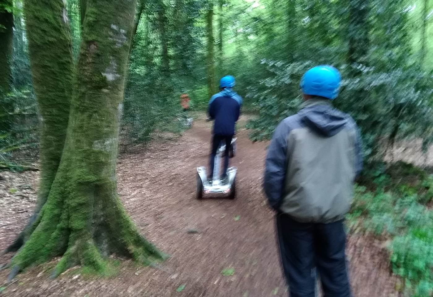 Au pilotage ! slalom entre les arbres ....042019