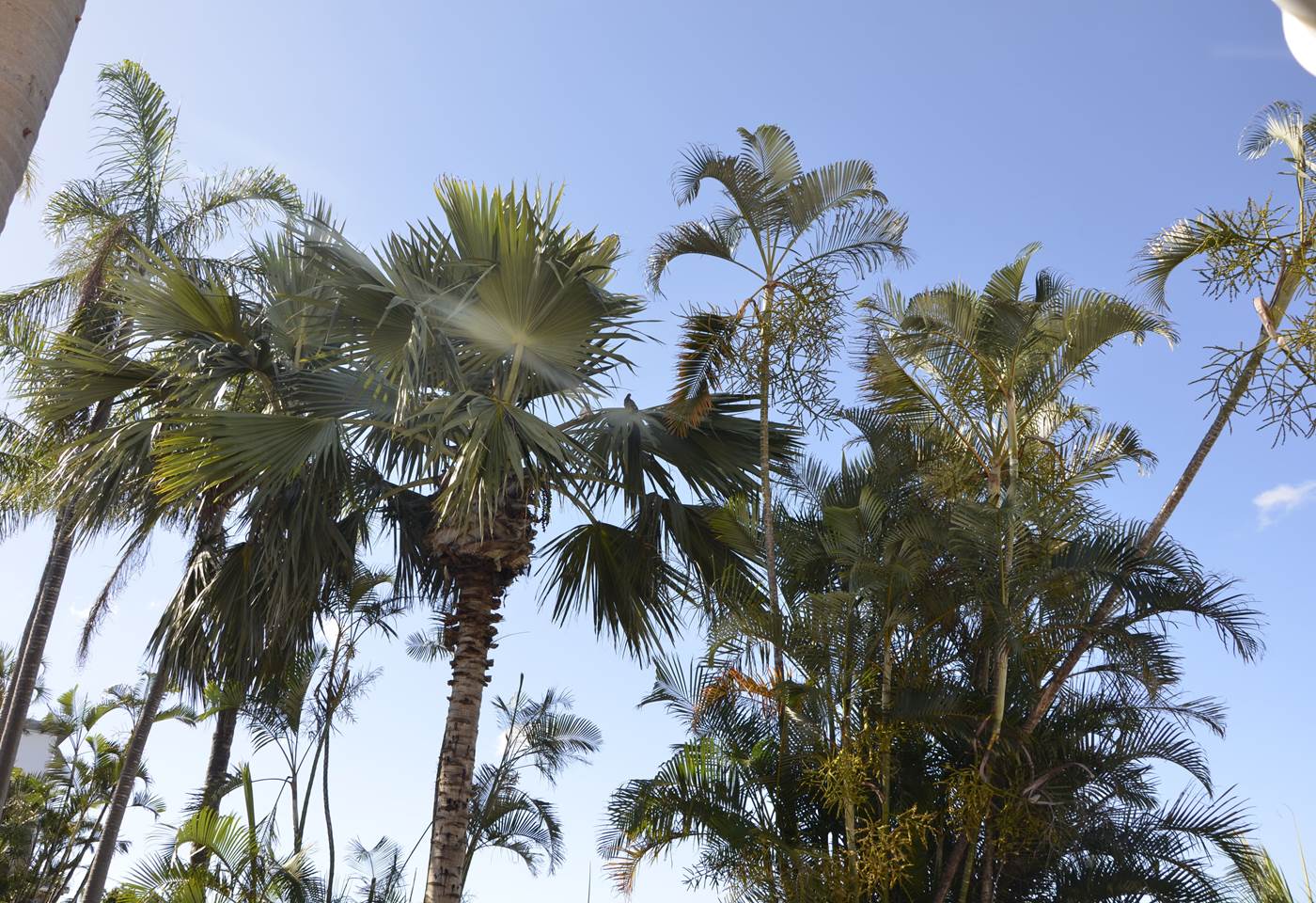 location-la-palmeraie