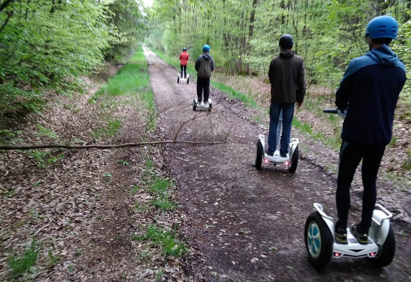 En route, ligne droite , sur chemin forestier. 042019