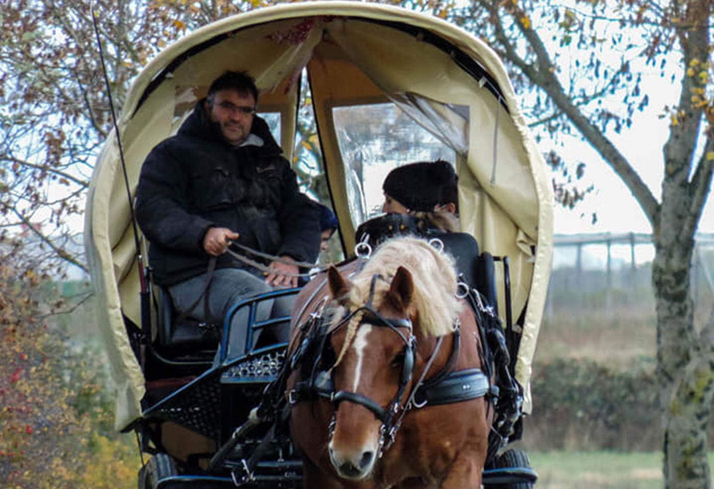 Gaston, notre cheval de trait