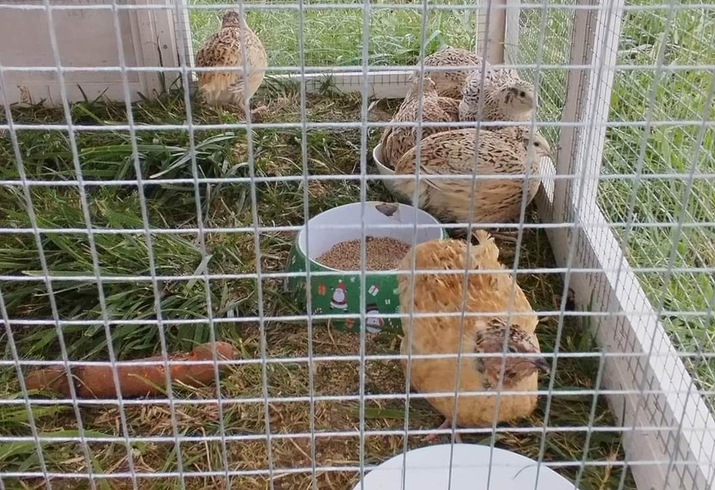 452875320_1001543408640855_7960718594802991338_n