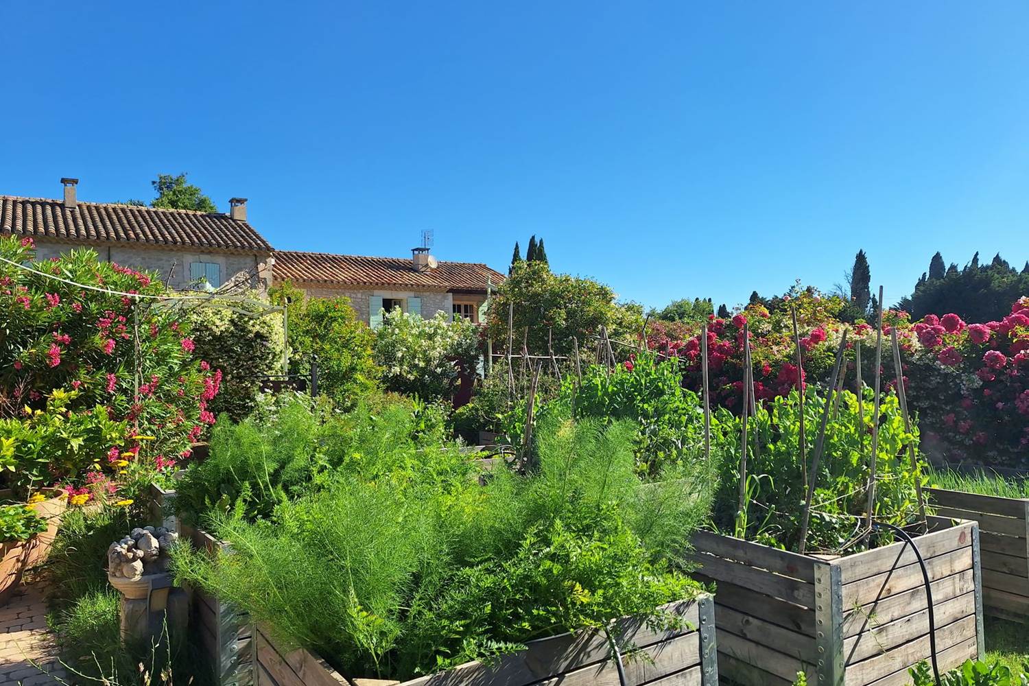 Verger et potager bio