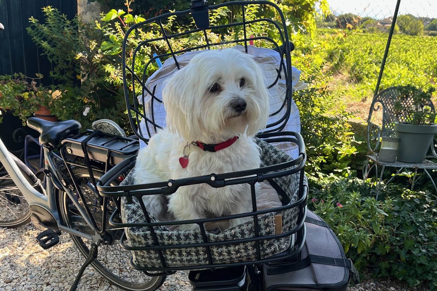 Le Mas Mellou / Chambre Mont Serein / Accueil Vélo