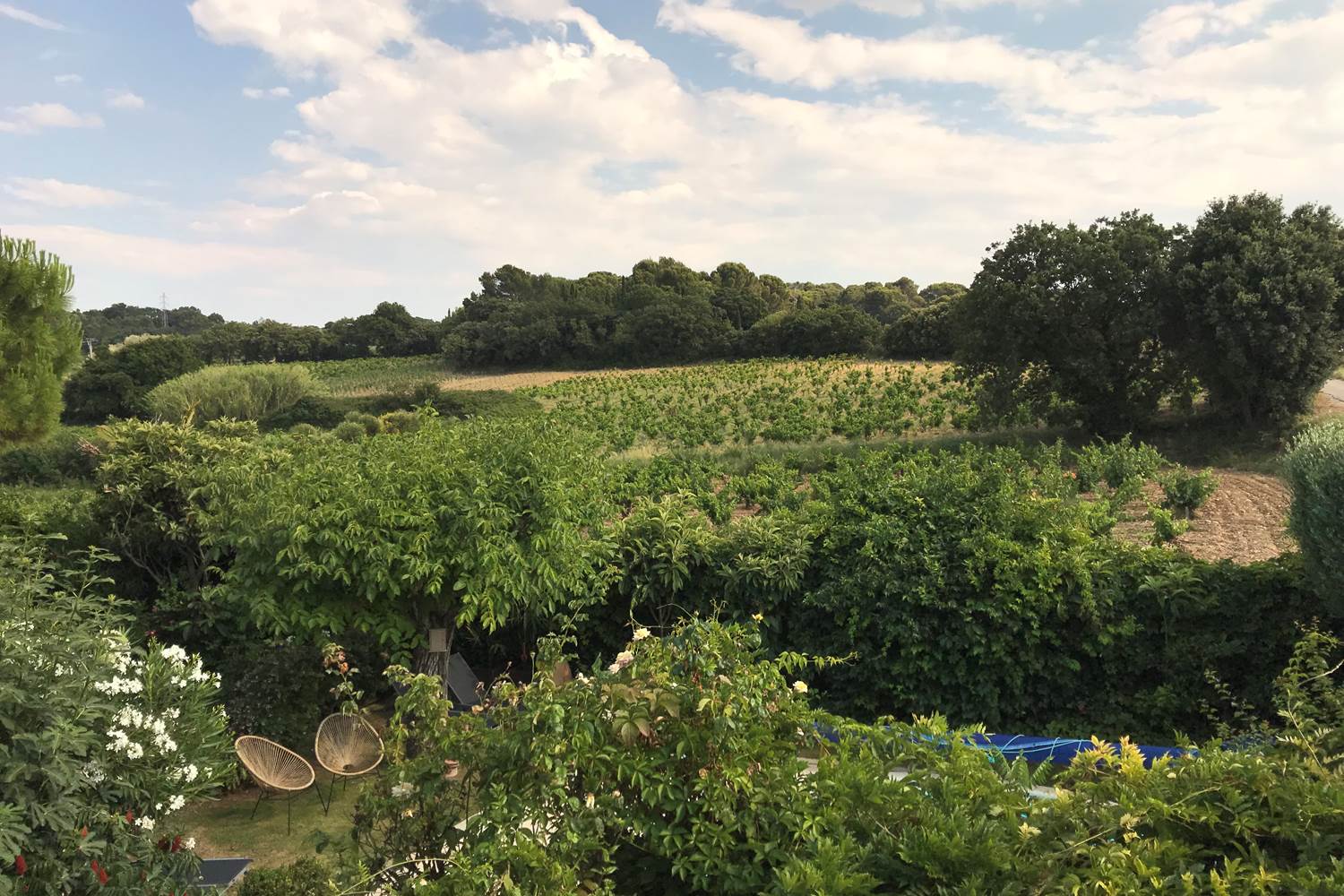 Chambre Mont Serein / Vue sue les vignes de Châteauneuf du Pape