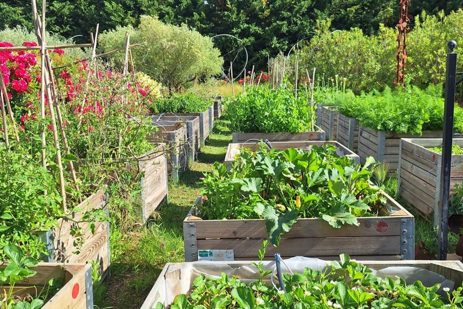 Verger et potager bio