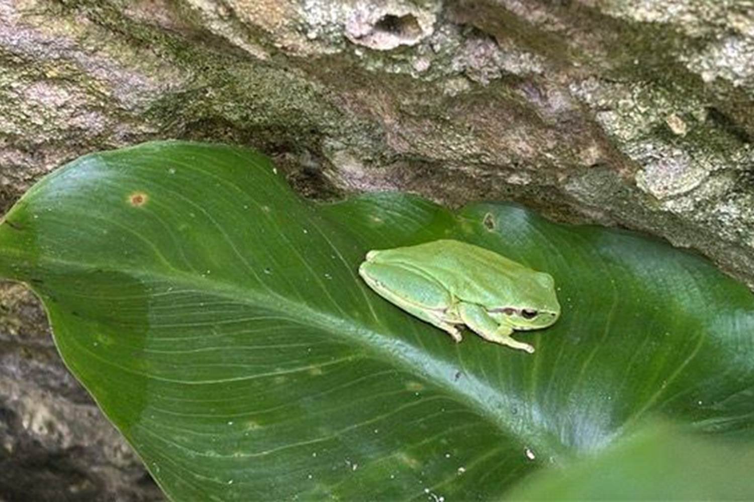 Les jardins : jardin haut et jardin bas