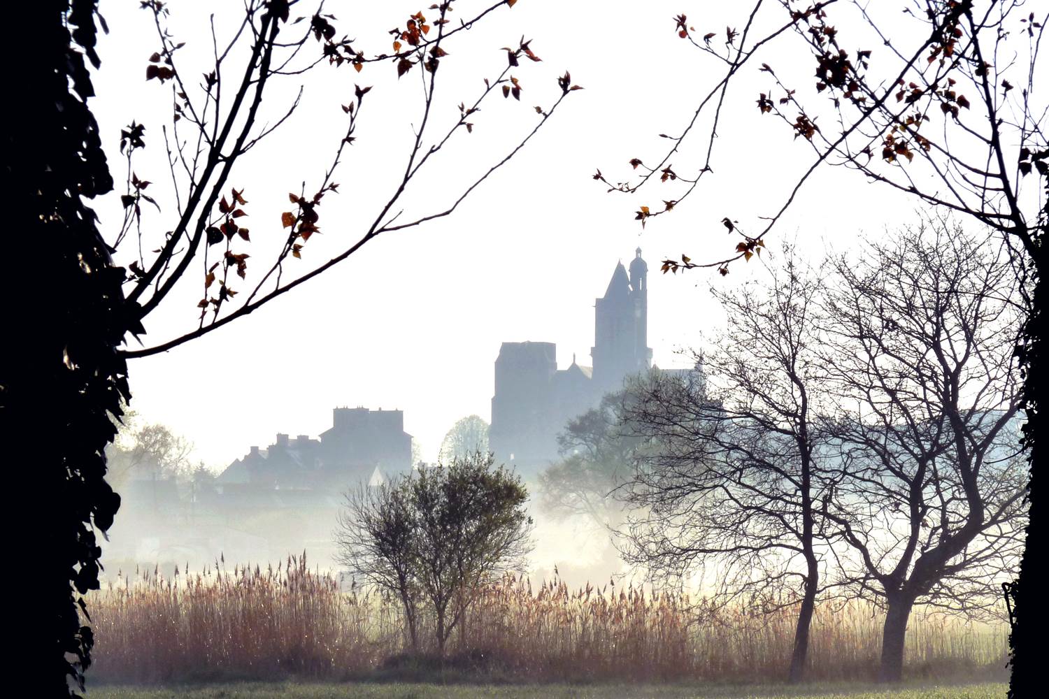 La Cathédrale dans la brume