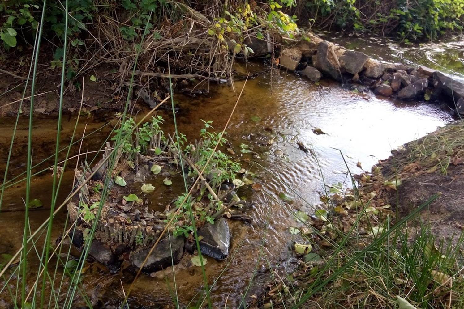 le ruisseau, het riviertje