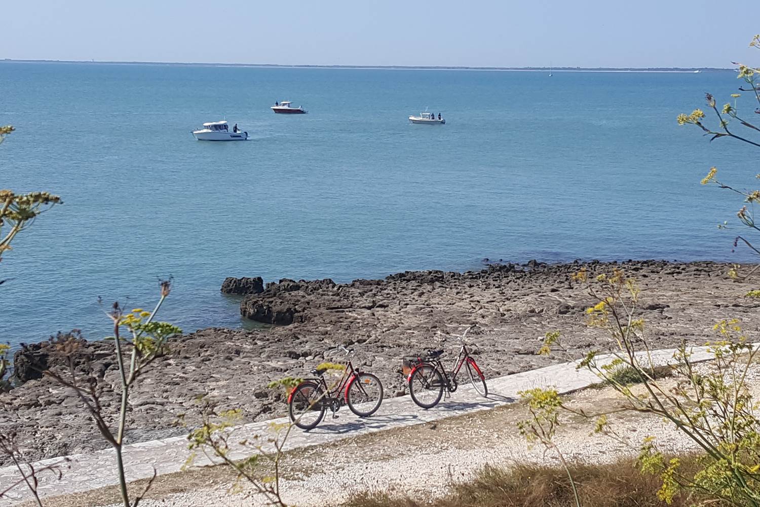 Balade à vélo île d'Aix