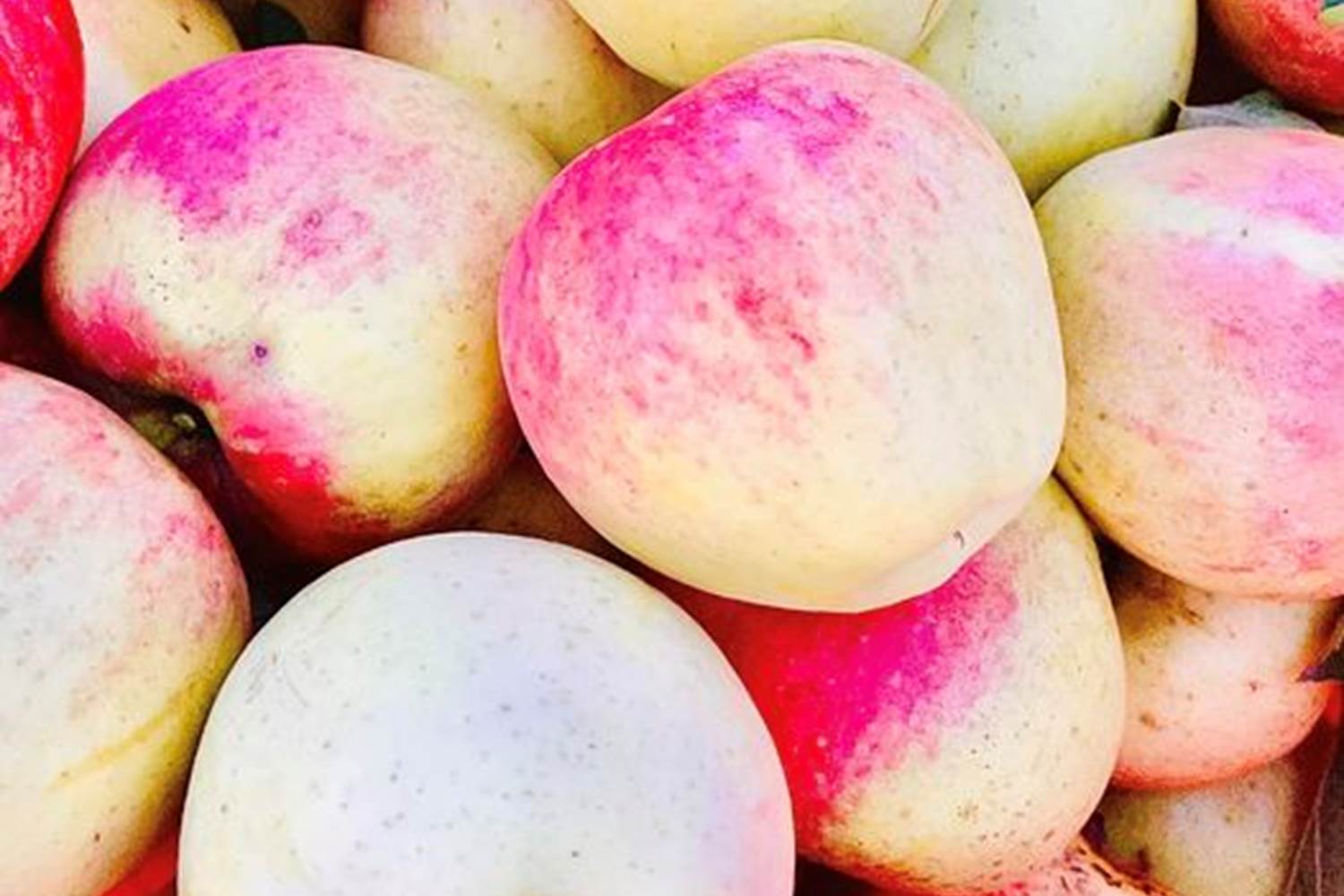 308996018_470093161800826_3555154178023397557_n