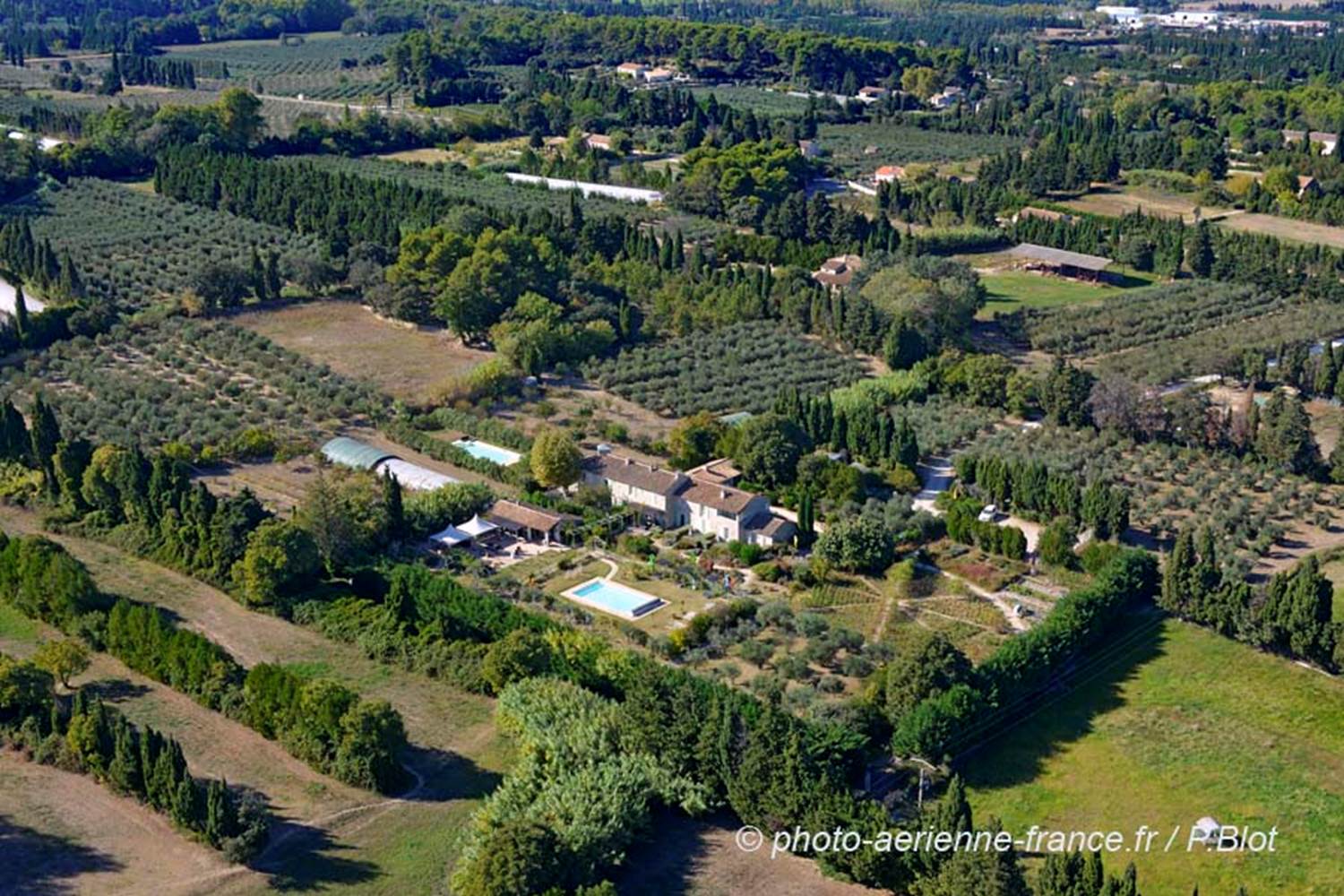 13mas-des-figues-13-1018