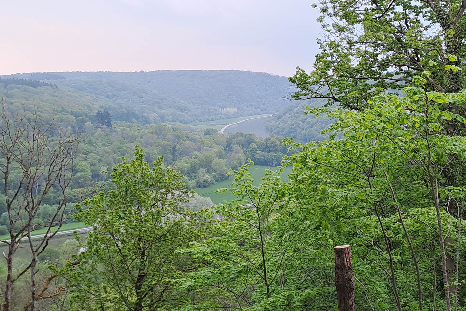Vallée de la Meuse depuis le Colébi