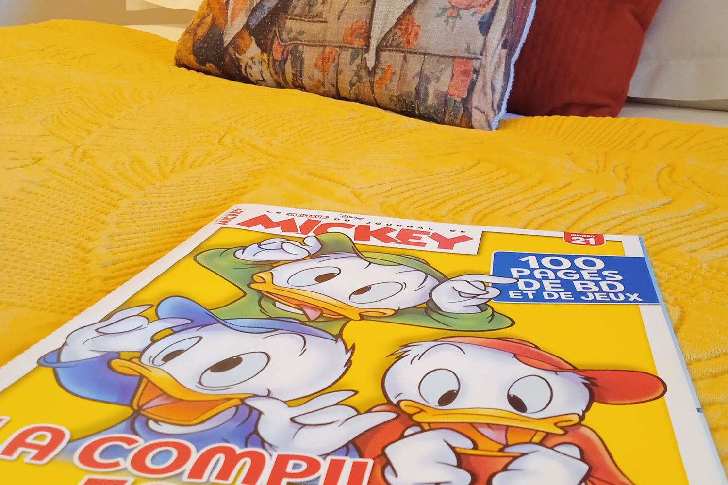 Dans la chambre - chambre d'hôtes l'Éphémère à Limoges