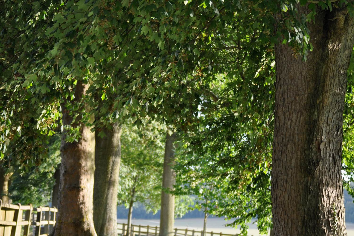 Chambres d'hôtes Oise, Chambres au château, Gites de charme Oise, Hotel Beauvais,