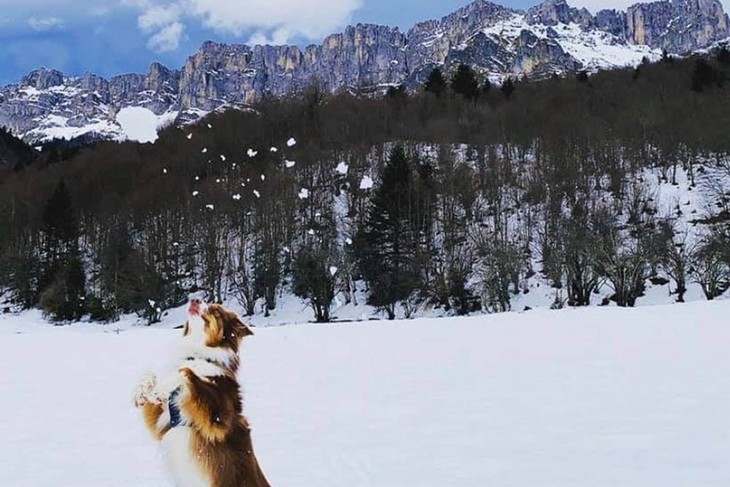 plateau-de-Sanchèse-Lescun-sous-la-neige