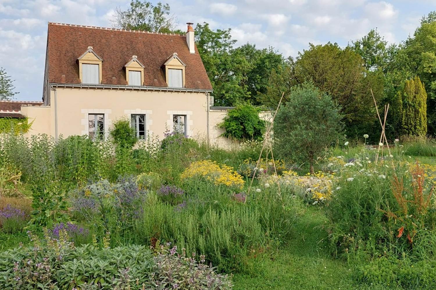 chambres-d-hotes-amboise-maison-chemin-jardin-plantes-aromatiques-medicinales