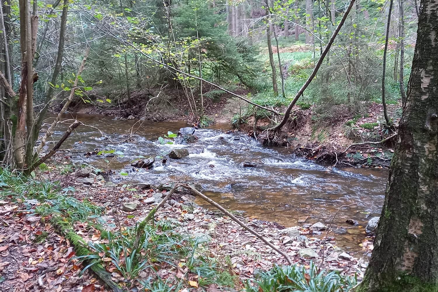 Petit ruisseau sur notre parcours