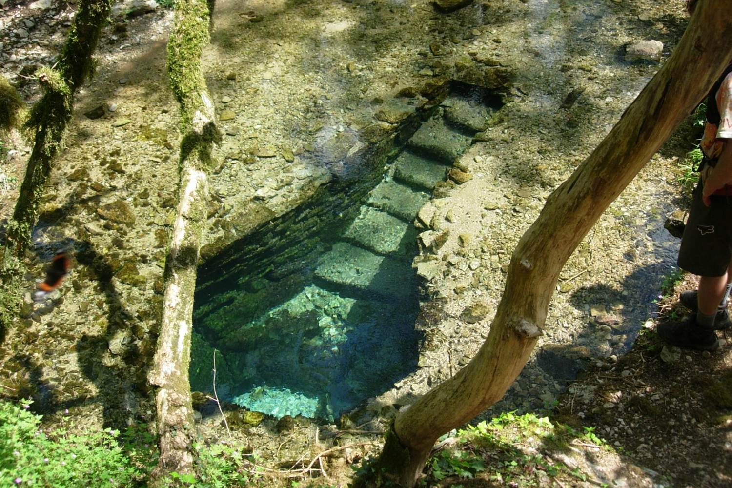 Source de font nègre