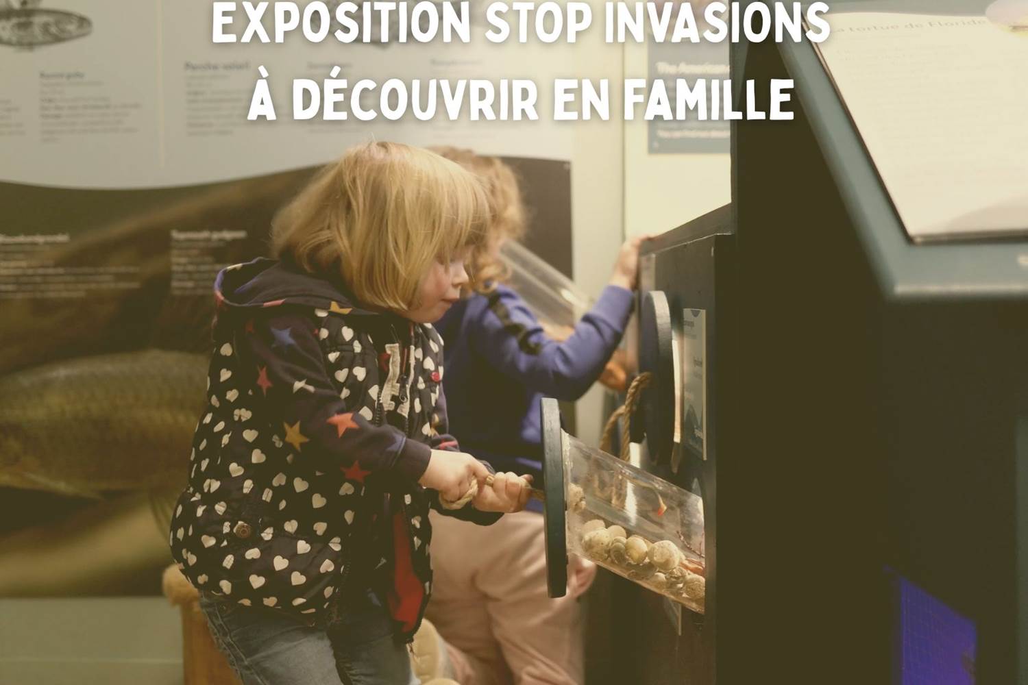 exposition-wallonie-nature-famille