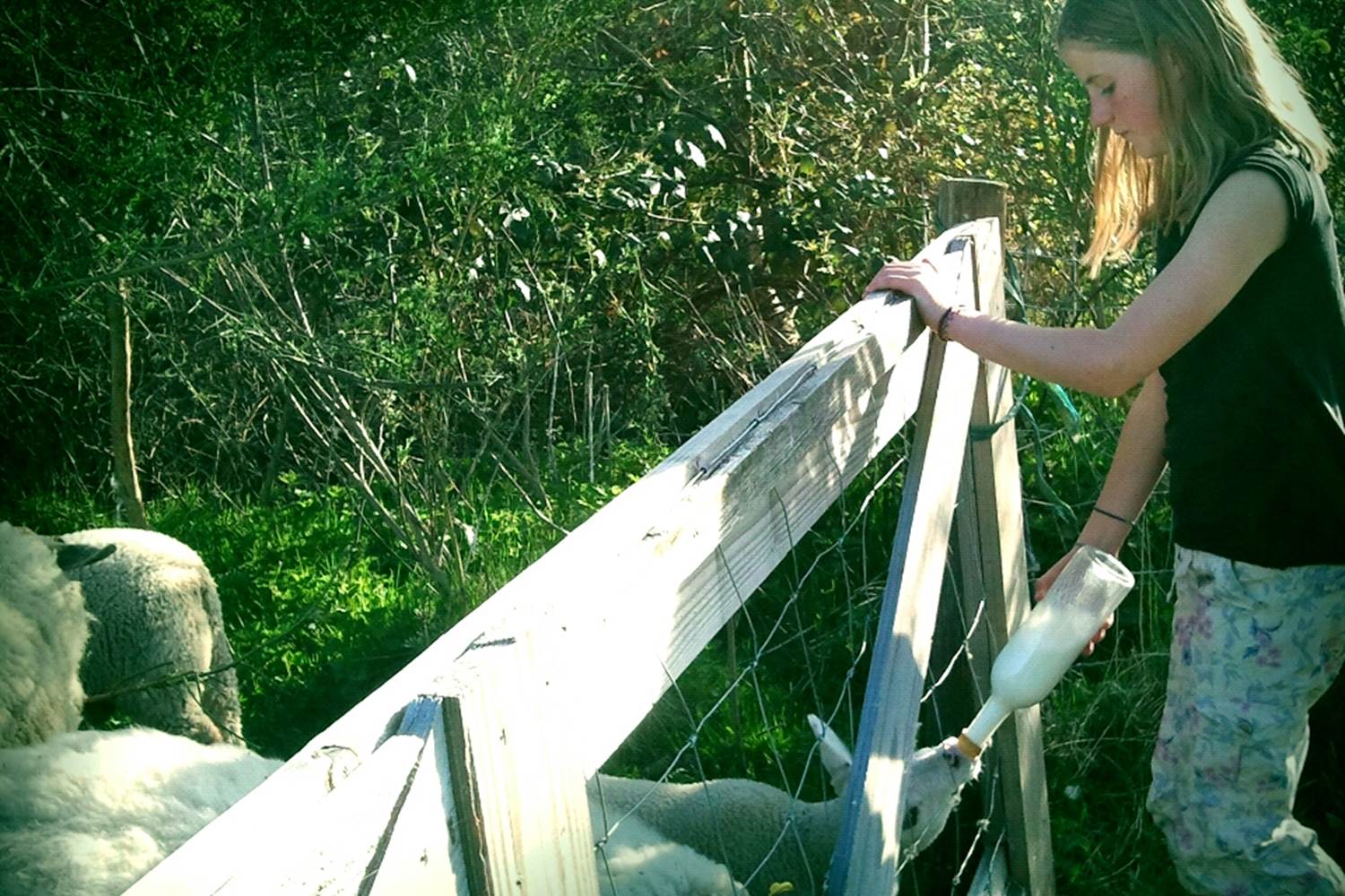 tour animalier, dieren rondje, animal tour