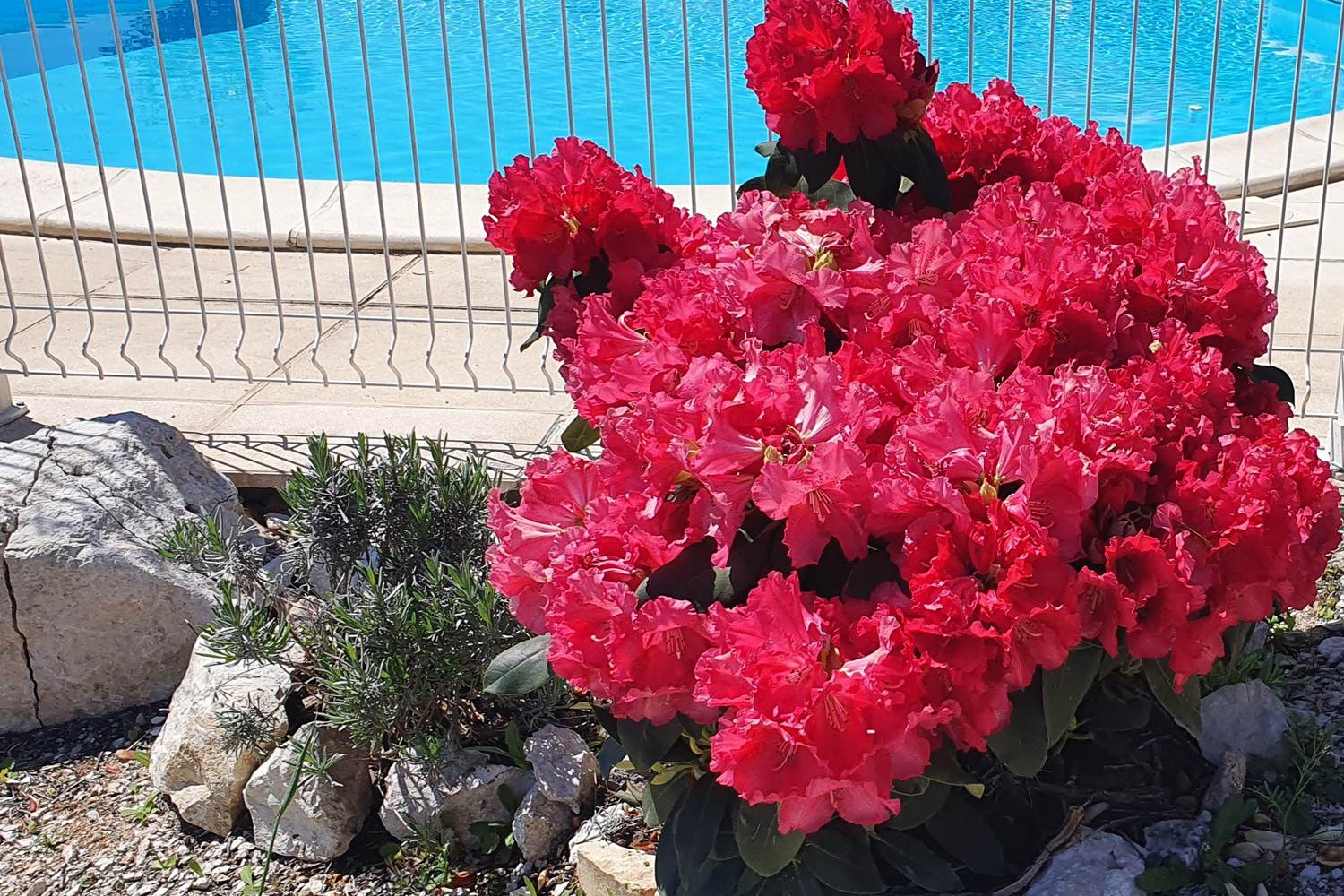 Un peu de couleur :-)