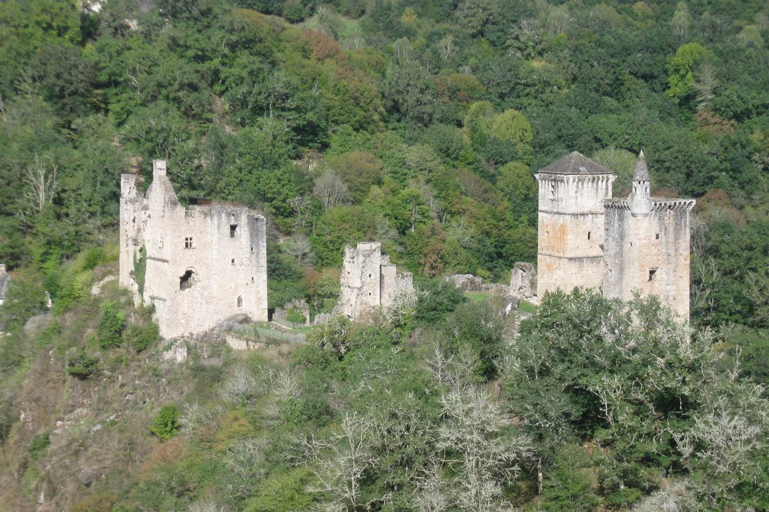 Xaintrie_les_tours_de_merle