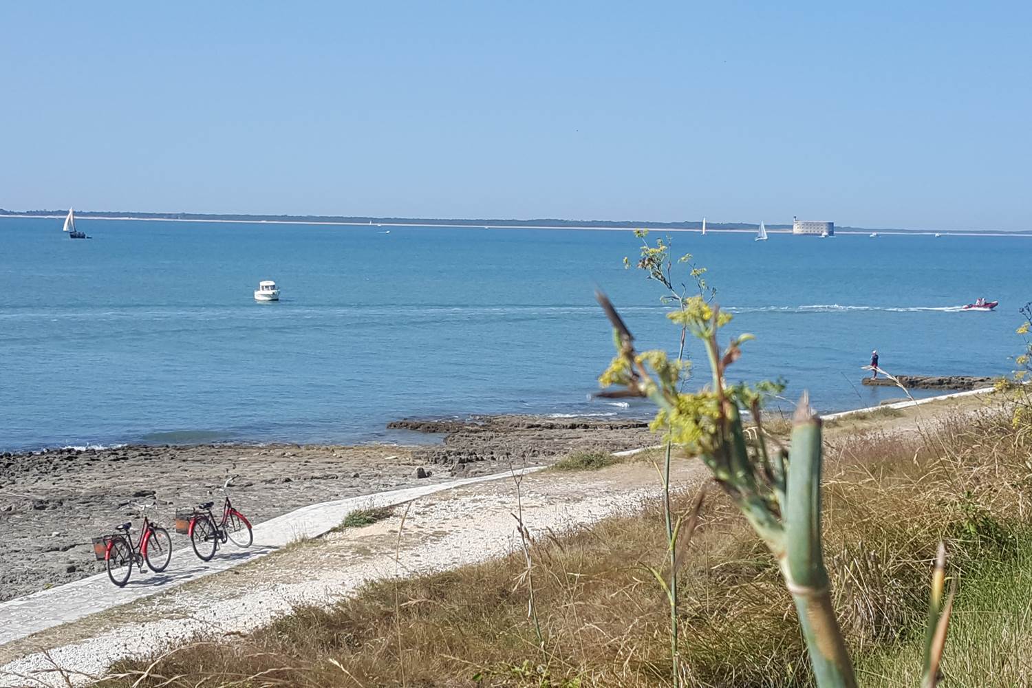 Vélodyssée - Balade à vélo en Charente-Maritime - Port des Barques