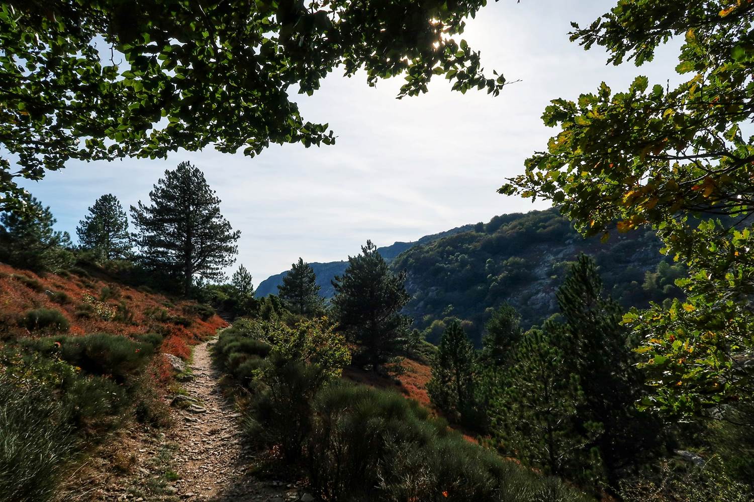 Gorges de Colombières