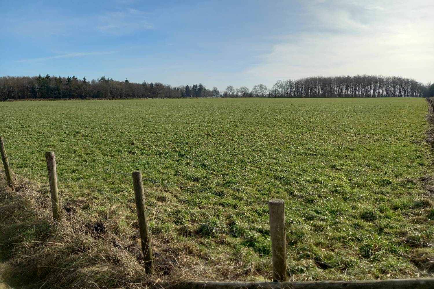 Bel espace vert lors d'une balade de +/- 8kms à partir du gîte
