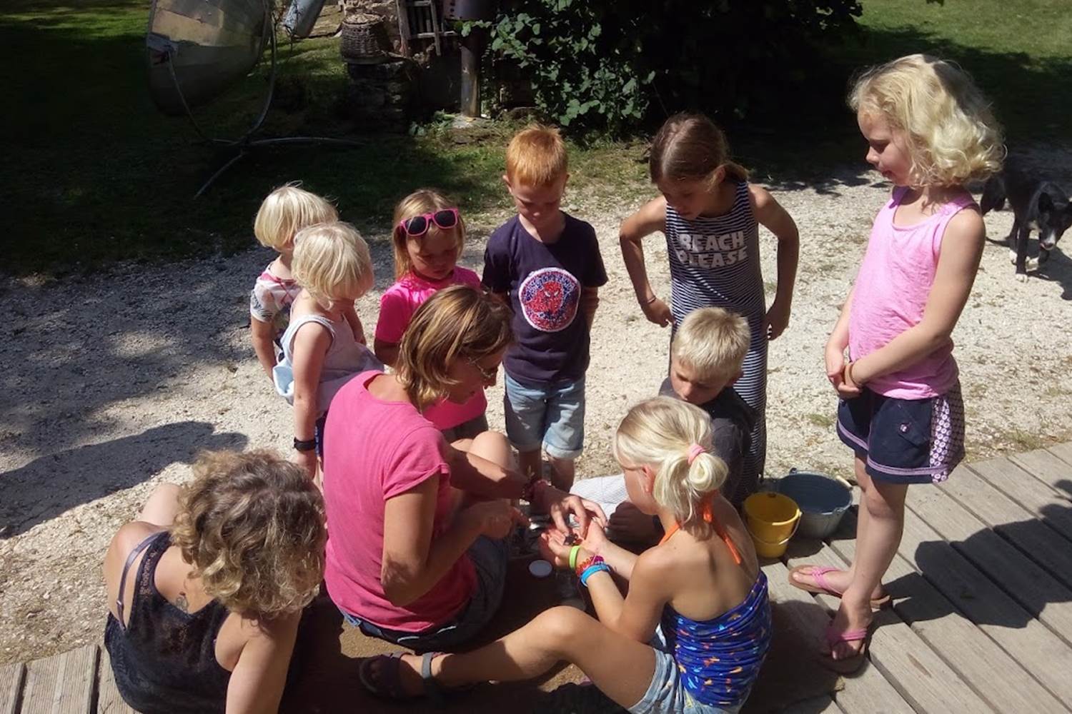 tour animalier, dieren rondje, animal tour