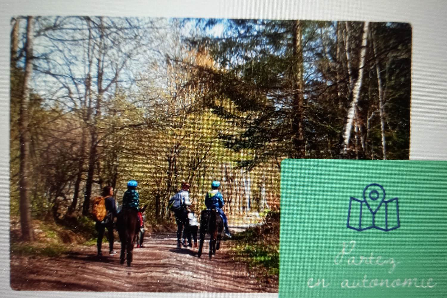 Balade à dos d'âne