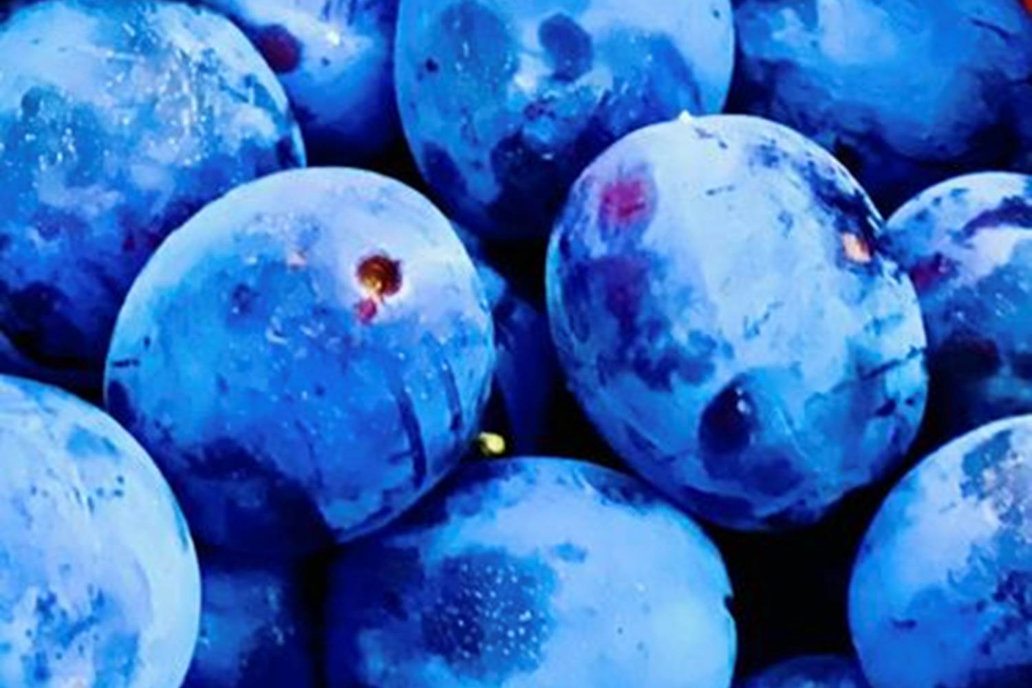 307440322_470093135134162_9011666869879947884_n