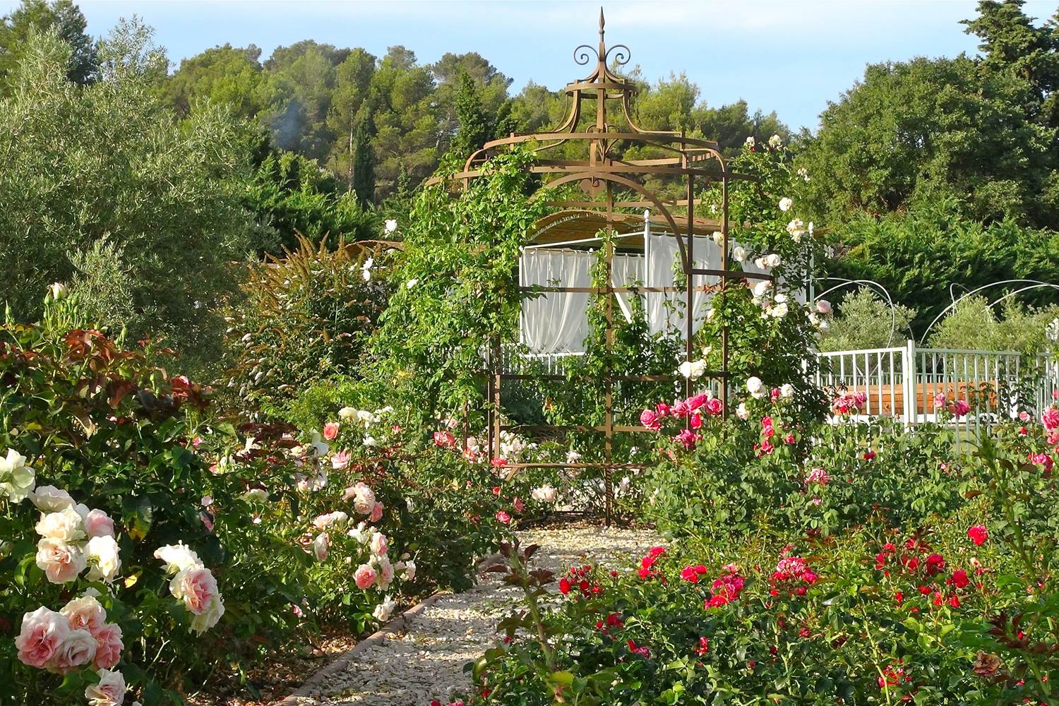 roseraie-gite-alpilles