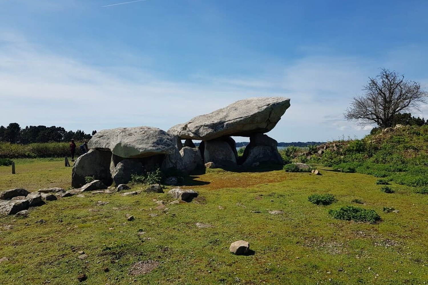 ILEAUXMOINES-GOLFEDUMORBIHAN-BRETAGNESUD