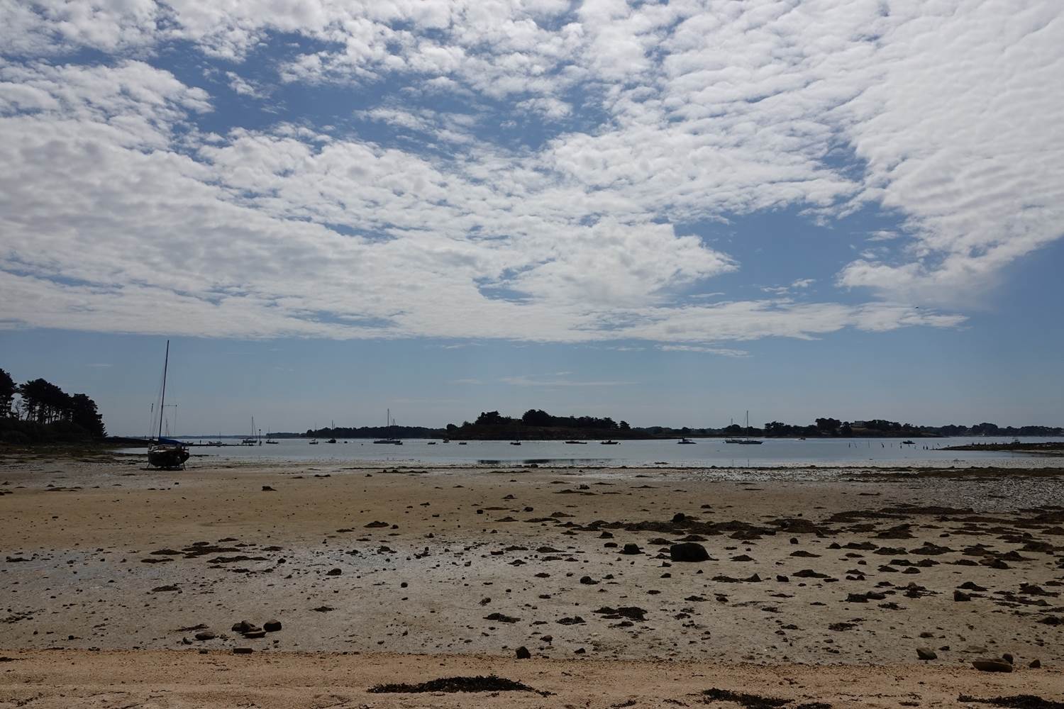 Larmor Baden