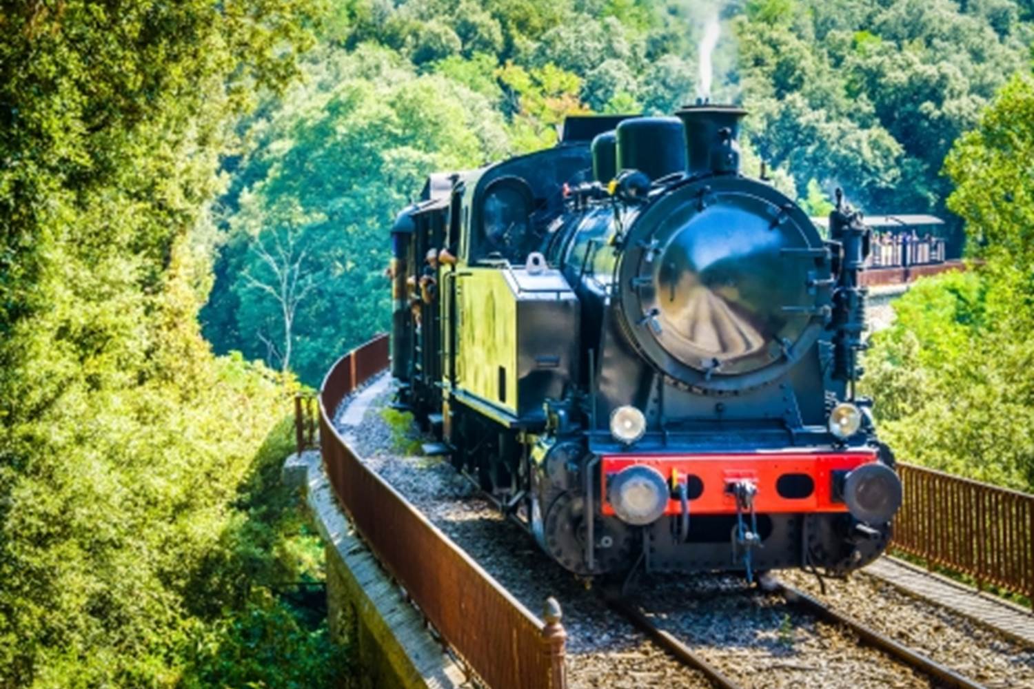 Train à vapeur des Cévennes