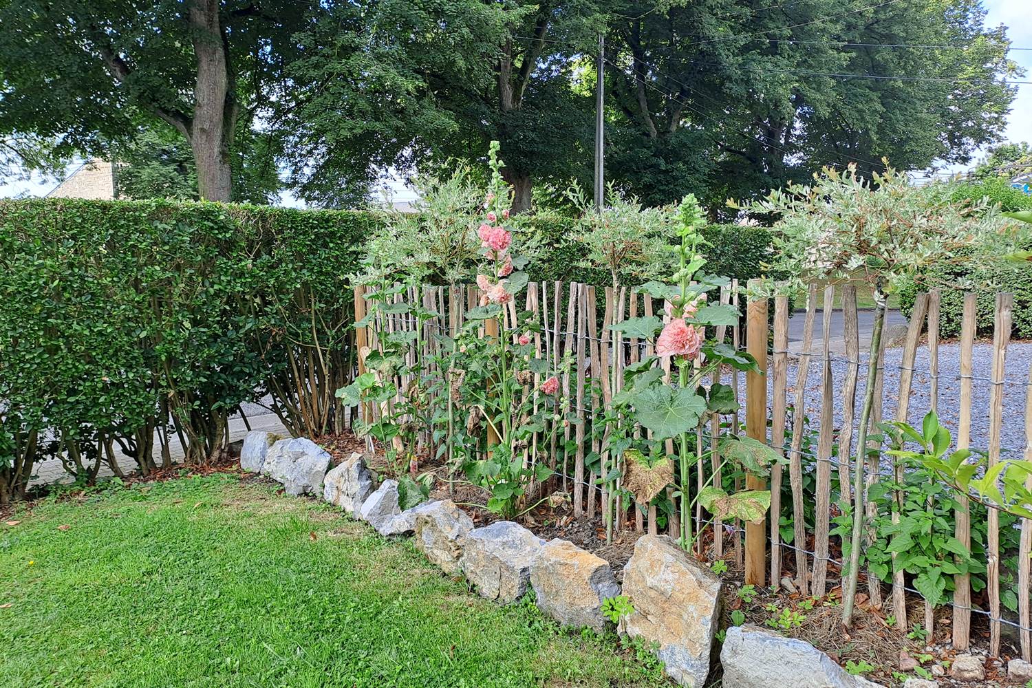 Barrière fleurie - Roses trémières