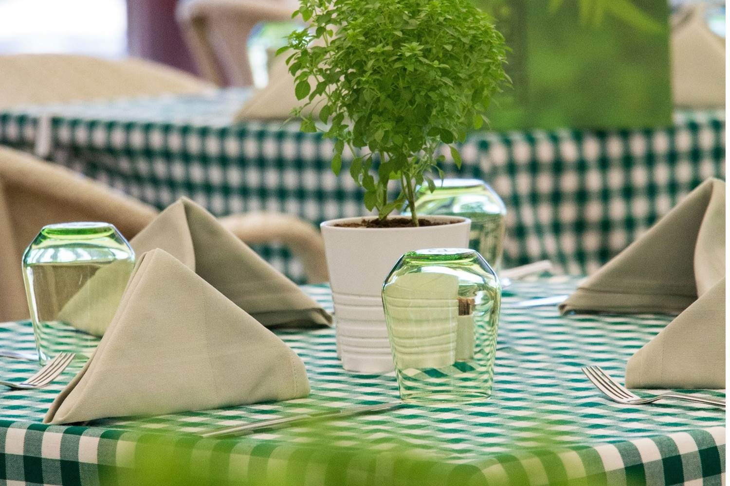 dîner uzes arpaillargues garrigues