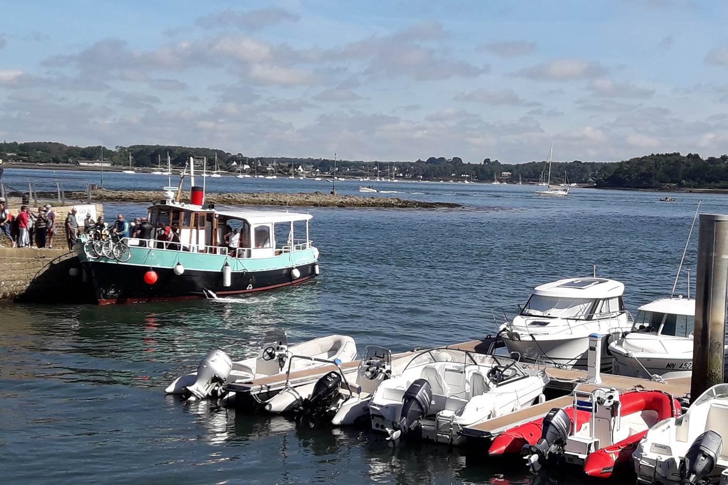 ILEAUXMOINES-GOLFEDUMORBIHAN-BRETAGNESUD