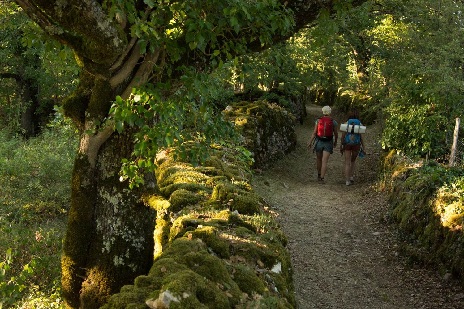 randonnee-balade_cmalikaturin_00064