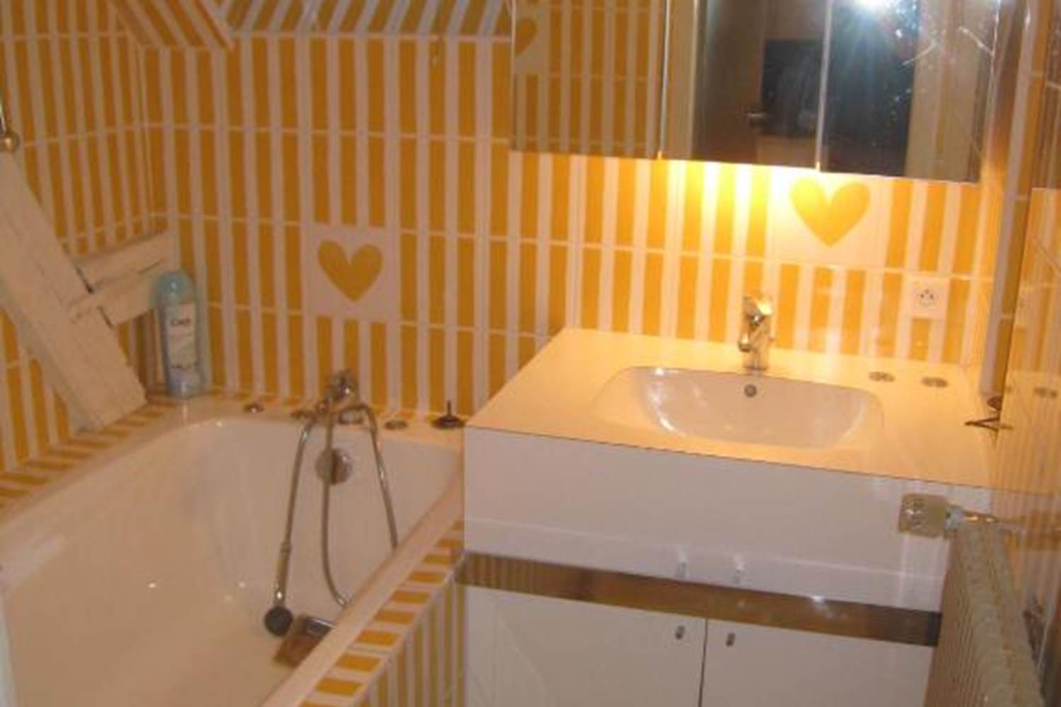 CHAMBRES-GUEBWILLER-Chambre-Simple-Économique-1-Personne-Salle-de-Bain