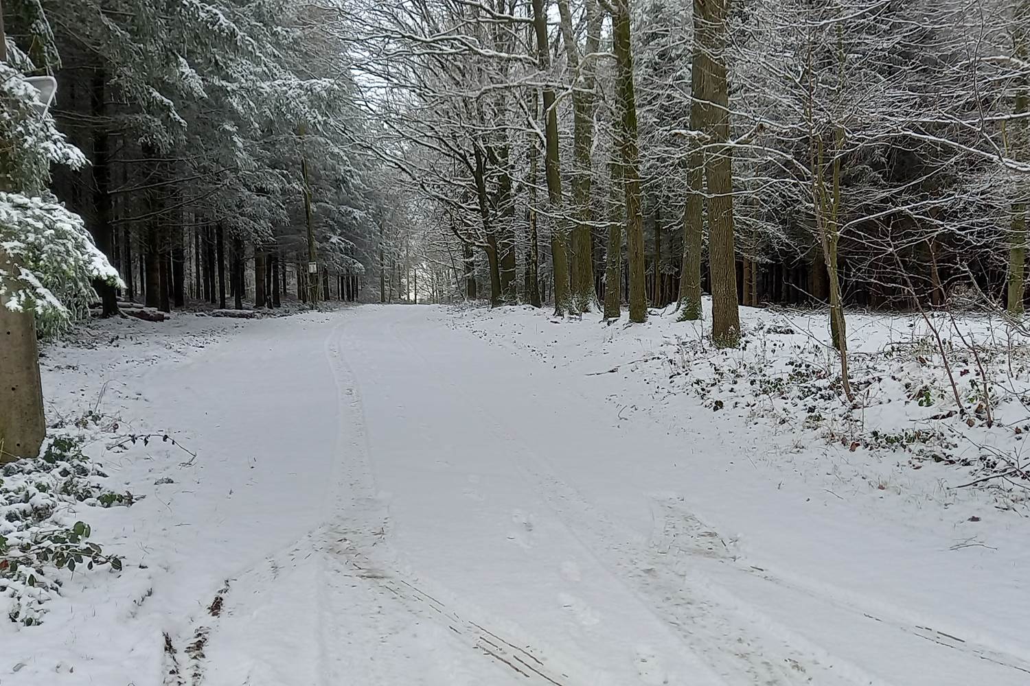 Une balade vivifiante