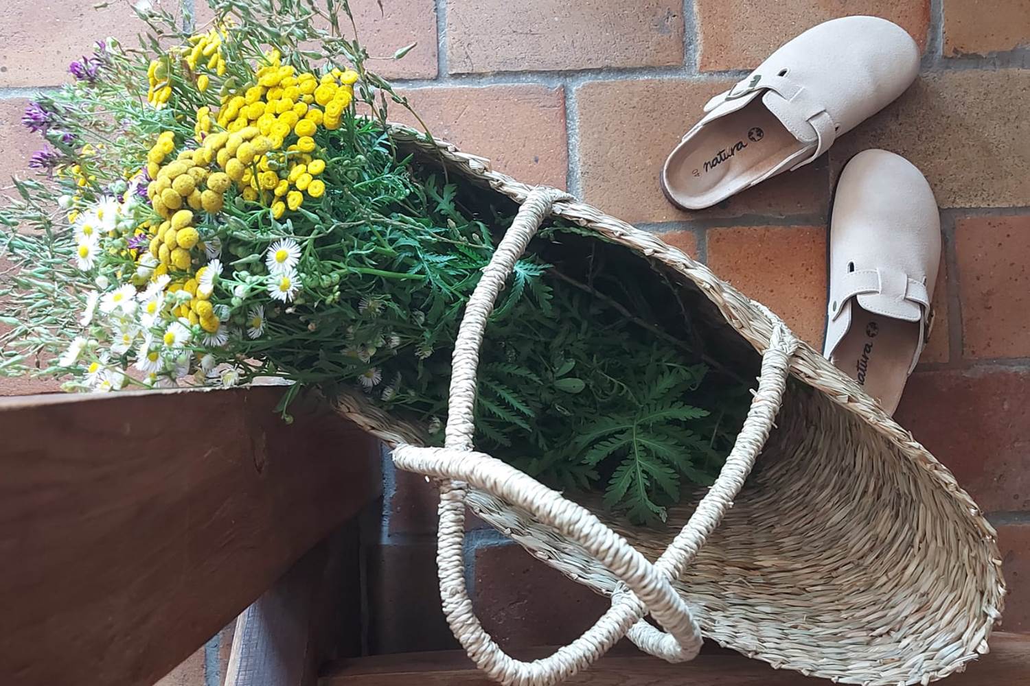 2b Lanaye – Maison de charme