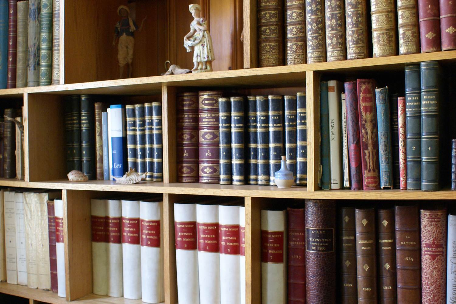 7 3 Grand salon bibliotheque