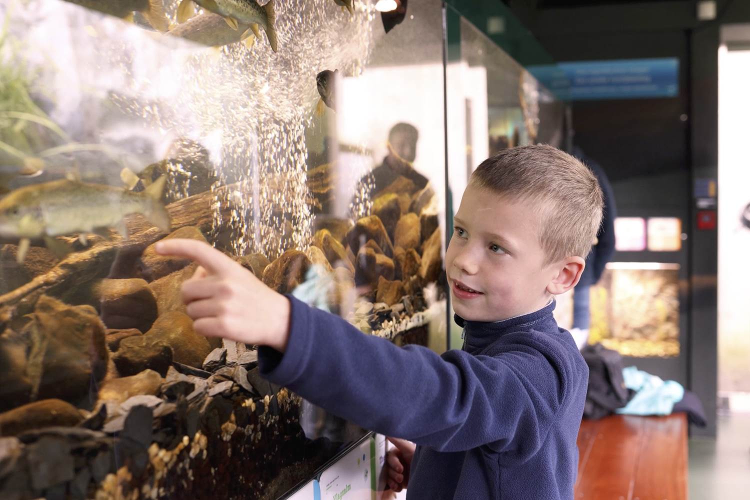 aquariums-poisson-riviere-hotton